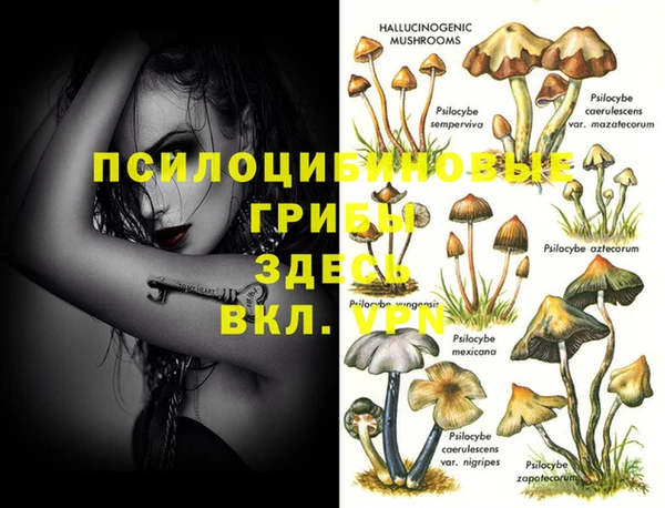 ALPHA-PVP Саяногорск